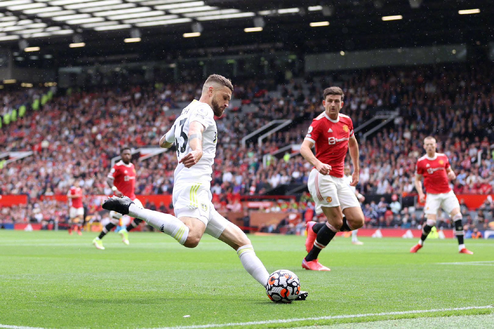 的潜力及适 的潜力及适