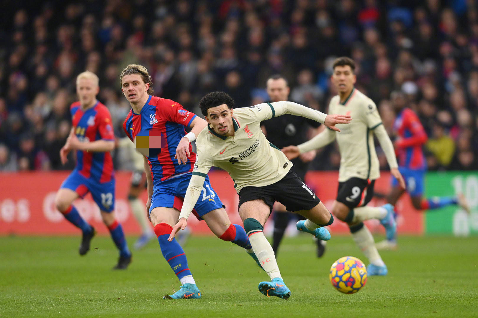 我有与裁判 我有与裁判